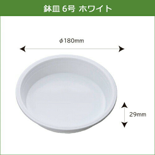 �ڥݥ����20�ܡ�ȭ�� 6�� 240�ĥ��å� ȭ���� ����ȭ �����ǥ˥�