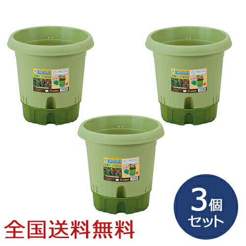 Rakuten - 【ポイント20倍】給水式菜園ポット360型 家庭菜園 菜園コンテナ 植木鉢 深型ポット 野菜栽培 お得な3個セット