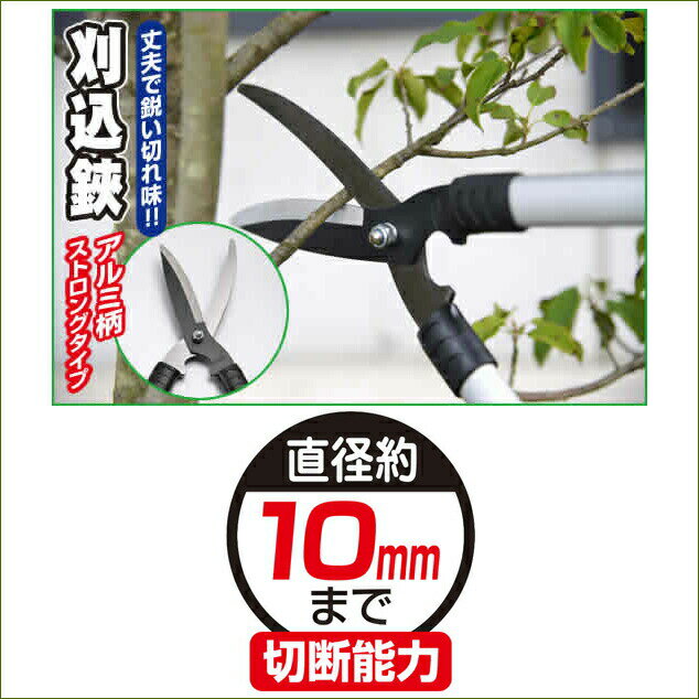 �ڥݥ����20�ܡۥ���ߴ����� ���Ϸ� ����Ф��� �ޤ��� �����ǥ˥� �������