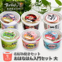 お好み焼き 入門 セット 具材 ソース 入り おはなはん おこのみやき 簡単 生 カップ ミックス ブタ イカ モダン お好み焼粉 天然出汁 国産 キャベツ 関...