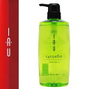 Lebel ルベル イオ リコミント クレンジング ICY 600ml【おひとり様3本まで】