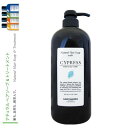 ルベル ナチュラルヘアソープ ウィズ CY サイプレス 720ml ストレス地肌【おひとり様3本まで】