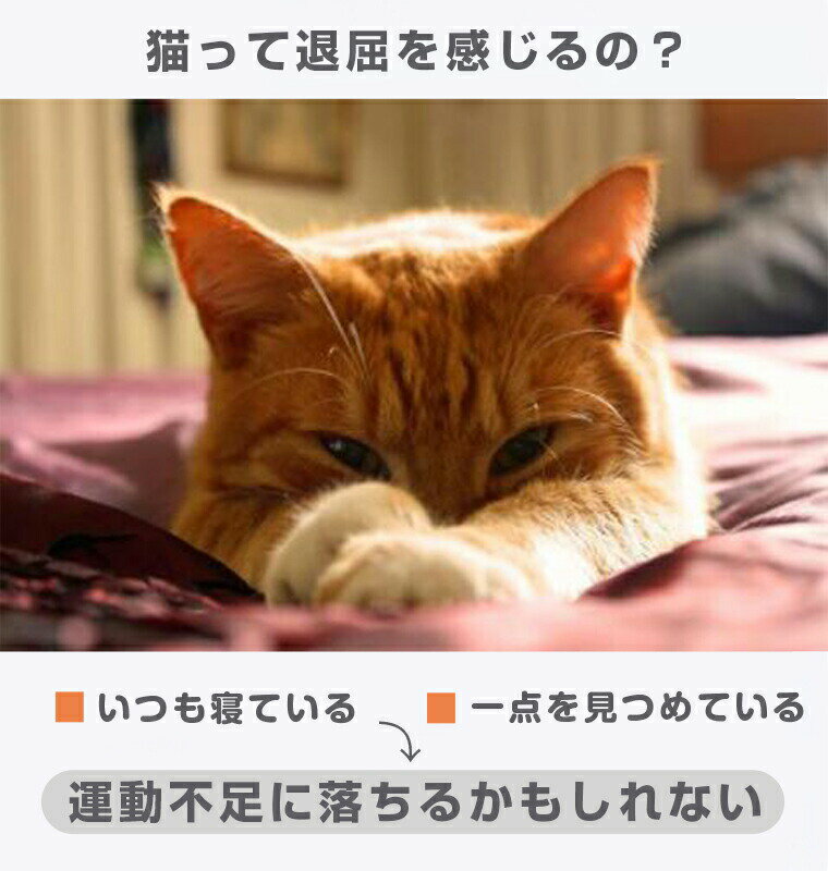 猫 おもちゃ 一人遊び 電動 自動 猫じゃらし 光る ネコ ねこ おもちゃ ペット用品 猫玩具 かわいい キャットトイ キャットおもちゃ 猫用品 ペット玩具 運動不足 ストレス発散 USB給電 自動タイ…