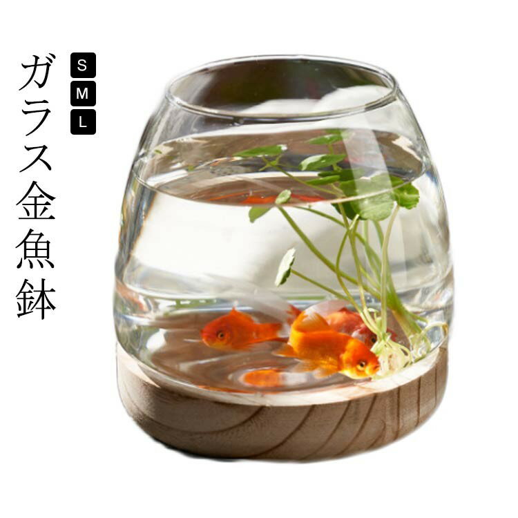 金魚鉢 おしゃれ 金魚 メダカ 水槽 室内 容器 鉢 S M L ミニ水槽 ガラス金魚鉢 小さな水槽 水耕植物花 ..