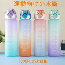 水筒 1リットル 目盛り付き 水筒 1L ウォーターボトル ストロー付き水筒 タイムマーカー 携帯便利 漏れ防止 キッズ レディース 水筒 メンズ 大容量 軽量...