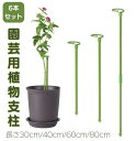 6本セット 植物支柱 花ささえ 園芸支柱 つる性植物 観葉支柱 誘引 支柱 植物サポート フラワースタンド フラワー支柱 花支え ガーデニング 農業用 園芸用 ...