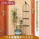 スモールオベリスク 135cm 径37mm 花 園芸用品 バラ 薔薇 オベリスクアーチ プランター おしゃれ 園芸用品 植木鉢 植物 鉢 組み立て 支柱 園芸 ...