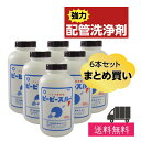 \あす楽対応♪/【6本セット】パイプ洗浄剤 ピーピースルーF (600g) キッチン 排水溝 詰まり 排水口 悪臭 詰まり直し ヌメリ 強力 洗剤 お風呂 流し...