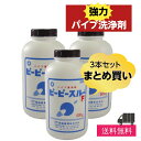 ＼あす楽対応♪／パイプ洗浄剤 ピーピースルーF (600g)　キッチン 排水溝 詰まり 排水口 悪臭 詰まり直し ヌメリ 強力 洗剤 お風呂 流し シンク 配管 パイプ RSL