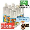 ＼あす楽対応♪／ 6本まとめ買い【 配管洗浄剤】ピーピースカット(1kg) キッチン お風呂 業務用 1リットル 排水管洗浄液 排水口 排水溝 洗浄 液体 アルカリ性 強力 掃除 掃除用品 パイプ洗浄 詰まり 流れない RSL