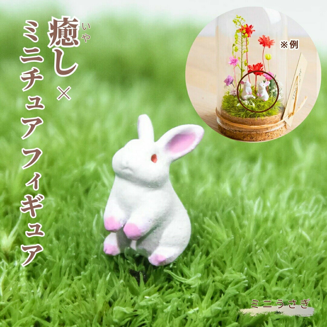 ꥦѥե奢    ƥꥦ  Ѿ ƥꥢ  ݥꥦ ꤦ  ץ쥼 ե  ƤΥꥦ ...