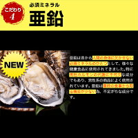 マカDX/すこやか工房(送料込み)