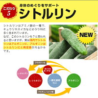 マカDX/すこやか工房(送料込み)