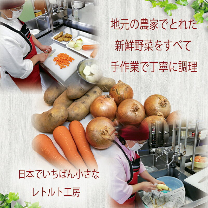 【高級手作り！ひろしま牛極上ビーフ伽哩お得な3個セット】レトルトカレー 高級 人気 ランキング 贅沢 カレー レトルト 牛肉 ビーフ カレー 広島 美味しい 贅沢 お取り寄せ 常温保存食品 お土産 お礼 内祝い 広島 神石高原町 3