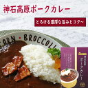 【高級手作り！神石高原ポークカレー】レトルトカレー 高級 肉 カレー 具 箱 ご当地 カレー カレールー コク ご当地 ポークカレー カレールウ 美味しい レトルト カレー ポーク 豚肉 贅沢 ご当地 レトルトカレー お取り寄せ 非常食 おいしい お礼 内祝い