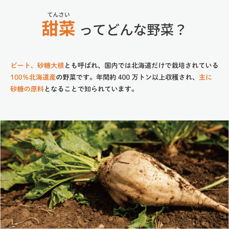 水野商店 くまのこ印 純てんさい黒みつ 275g シロップ 黒蜜 北海道産 砂糖代替 甘味料 甜菜 てんさい糖 ビート ラフィノース イノシトール オリゴ糖 栄養豊富 天然ミネラル豊富 非遺伝子組み換え 甘さ控えめ 和菓子 デザート 製菓 お菓子作り プチギフト sukosapo-10000272 すこさぽ楽天市場店 サンプル画像2