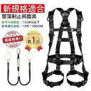 【墜落制止用器具】【産業安全技術協会試験合格】新規格適合 (フルハーネスセット) ランヤード一体型セット 黒蛇腹 ワンタッチバックル 安全帯 フルハーネス 伸縮式ランヤード付属 新規格 ハーネス型安全帯