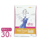 潤滑剤ゼリー 女性用 潤滑剤 膣 ケア 潤い 潤滑ゼリー 潤滑ジェル 使い捨て デリケートゾーン 潤い 妊活 うるおいケア痛み予防 安全材料 膣 セルフケアウェットトラストゴールド 30本入り