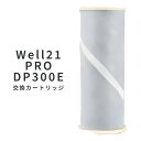 【正規代理店】ウェル21プロ 交換カートリッジ well21 浄水器 浄水カートリッジ 活性炭フィルター Well21PRO G400N用Well21PRO 交...