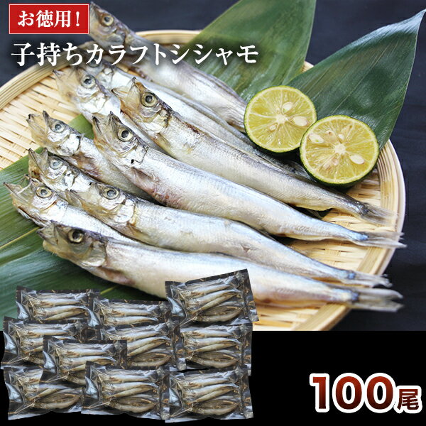100尾【お徳用】大型子持ちカラフトシシャモ 10尾 10パック 