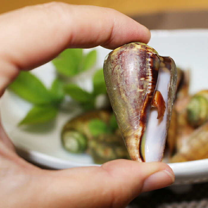 ��Į�建 �����Х鳭 0.5kg��5kg ��ȴ���Ѥ�