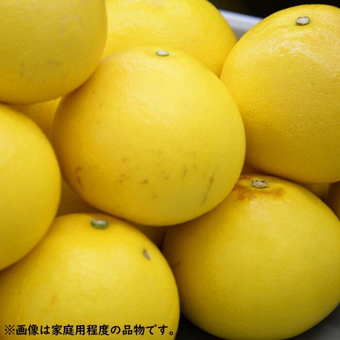 ���Ĺ����� ��������ں�ʸö ������/£����/���� 5kg��10kg 2026ǯ2���ܤ���缡ȯ��ͽ��