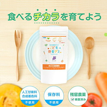 幼児 栄養補助おやつ こども食育グミ 1袋 偏食 少食 野菜嫌い 植物性乳酸菌（お米由来K-2乳酸菌）216億 ビタミンD キシリトール 栄養機能食品