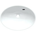 HW200-TW 洗面カウンター 三栄 SANEI 【受注生産品】 送料無料 複数買いでお値引き