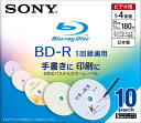 SONY 日本製 ビデオ用BD-R 追記型 片面1層25GB 4倍速 パステルカラー 10枚P 10BNR1VBCS4(2)