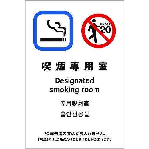 光 多国語ピクトサイン 喫煙専用室 光 多国語ピクトサイン 喫煙専用室