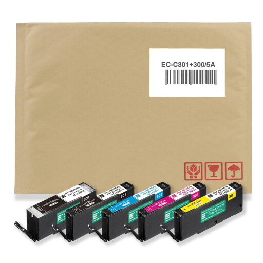 BCI-300/BCI-301 BCI-300/BCI-301