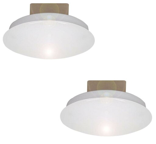 スワン電器 薄型LEDミニシーリングライト 昼光色相当 2個セット 日本製 YCE-552 スワン電器 薄型LEDミニシーリングライト 昼光色相当 2個セット 日本製 YCE-552