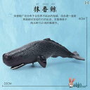 フィギュア おもちゃ おもちゃ フィギュア 海洋 生物 子供の 教育用 マッコウクジラ シミュレーション 玩具 動物 認識 水中 世界 3 カニ 4