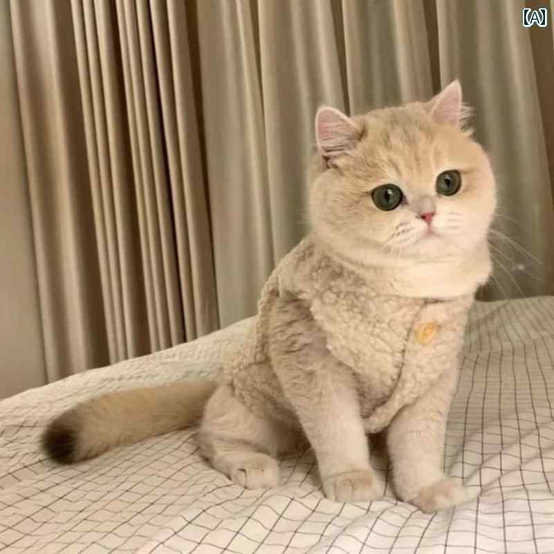 犬 猫 服 猫 服 ゴールド グラデーション 秋冬 暖かい ベスト ペット ぬいぐるみ 子犬 犬 冬服 コット..