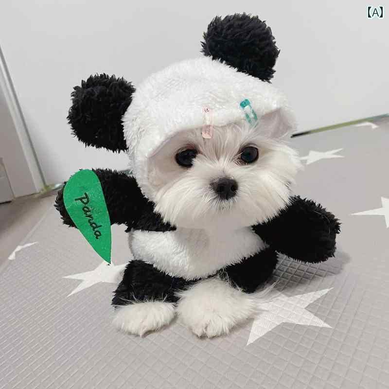  ǭ    Ω ѥ ڥå ǭ  ݥ˥ ӥ ƥǥ ⤷ 塼 ޥ