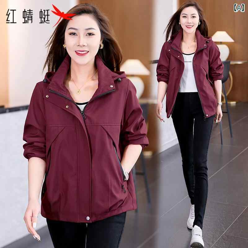 ��ǥ����� �� ������ɥ֥졼���� ���� ���� �����奢�� ���㥱�å� �����ȥɥ� ���ʻȤ� ���� ��������å��� �ڤ��ؤ�