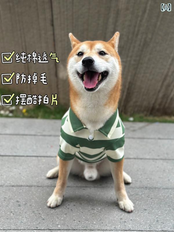    襤    ̵ ڥå  ݥ Ƹ ʥ ƥǥ ȴ ɻ