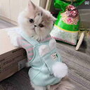 小型犬 子猫 服 かわいい 秋冬 ペットの 服 スタイリッシュな 四 足の ウサギの 青い 猫の 金色の グラデーション シャム 猫 ワンピース 落下 防止 足