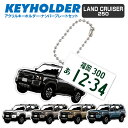 ランド クルーザー LAND CRUISER 250 デフォルメ ナンバープレート キーホルダー 名入れ オーダーメイド オリジナル アクキー 愛車 スマートキ...