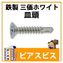 ピアスビス 鉄製 三価ホワイト 皿頭 5x80 250本入