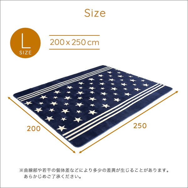 【レビュー特典】 マイクロファイバー・デザインラグマットLサイズ(200×250cm)洗えるラグマット シンプル かわいい おしゃれ SZ-0813 [2]