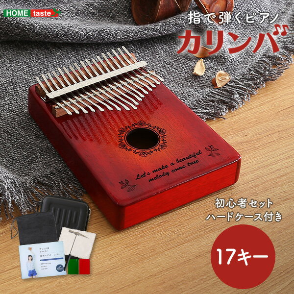【レビュー特典】 指で弾くピアノ カリンバ初心者セット　絵柄付きタイプ　ハードケースつき SZ-0796