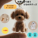 【記念品】犬の毛入りキーホルダー メモリアルペットグッズ 透明ケース 名前入り対応 愛犬との思い出を形に 選べる犬種15種 犬の毛収納ボトル 犬トイプードル 携帯 持ち歩き 可愛い 毛を保管するボトル 遺毛入れ ケース 透明 ペット 遺毛 キーホルダー