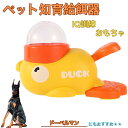 【10倍ポイント】ドーベルマン(Doberman Pinscher) アヒル 知育給餌器 おもちゃ IQ訓練 訓練 ペット知育おもちゃ 餌やり機 給餌器 餌 エ...