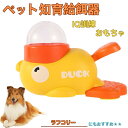 【10倍ポイント】ラフ・コリー(Rough Collie) アヒル 知育給餌器 おもちゃ IQ訓練 訓練 ペット知育おもちゃ 餌やり機 給餌器 餌 エサ えさ ...
