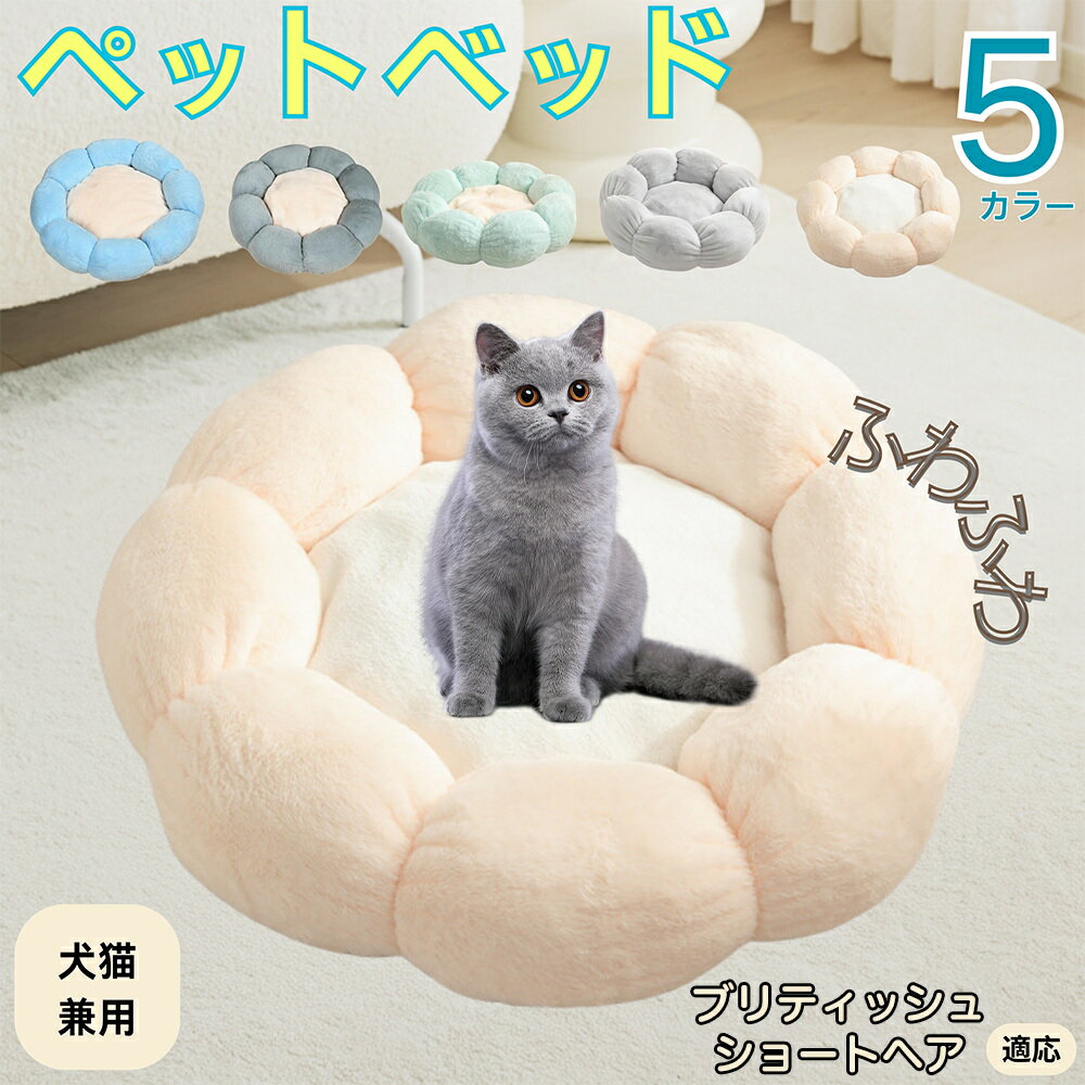 5ܥݥȡۥ֥ƥå奷硼ȥإ British Shorthair ڥåȥ٥å ַ  ǭ   OK դդ ⤳⤳ Ȥ...