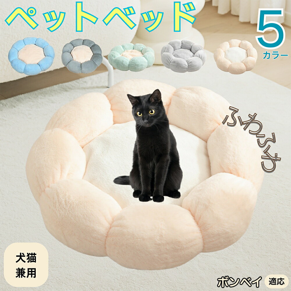 5ܥݥȡۥܥ٥ Bombay ڥåȥ٥å ַ  ǭ   OK դդ ⤳⤳ Ȥ ߤ     ...