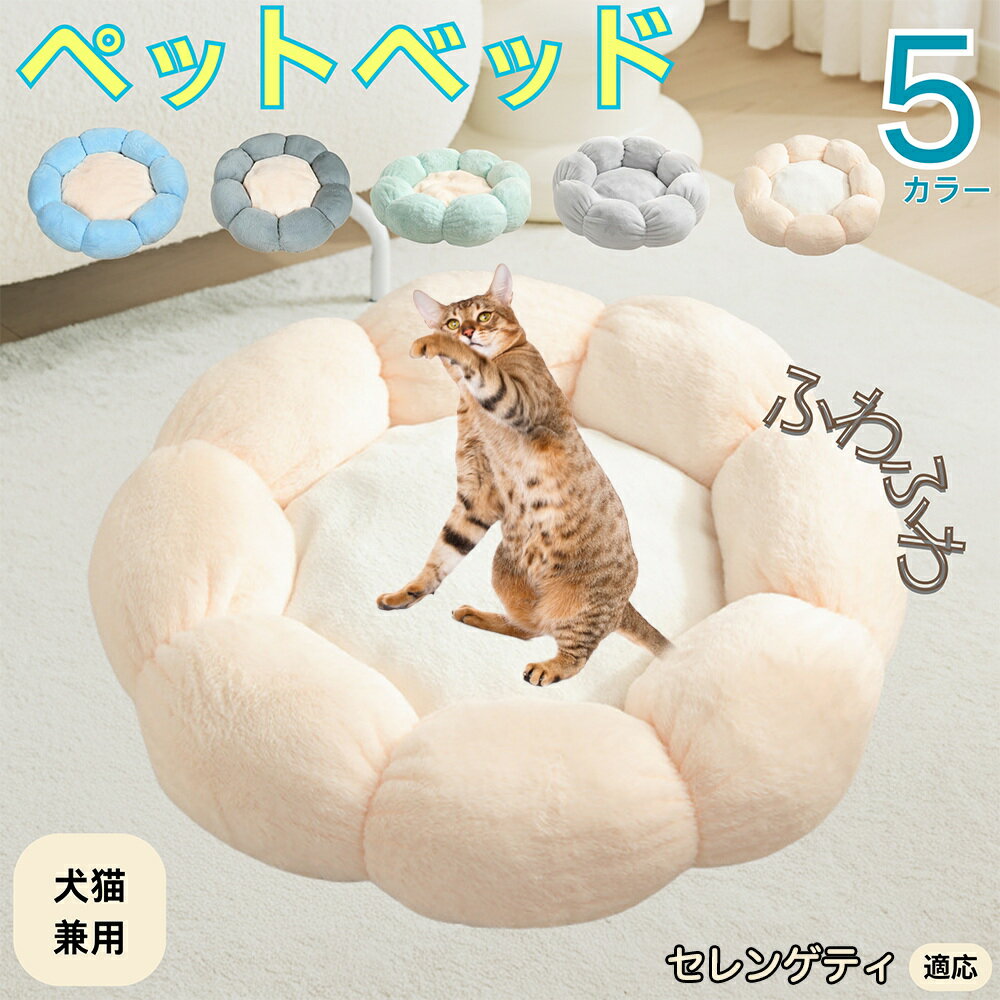 5ܥݥȡۥ󥲥ƥ Serengeti Cat ڥåȥ٥å ַ  ǭ   OK դդ ⤳⤳ Ȥ ߤ  ...