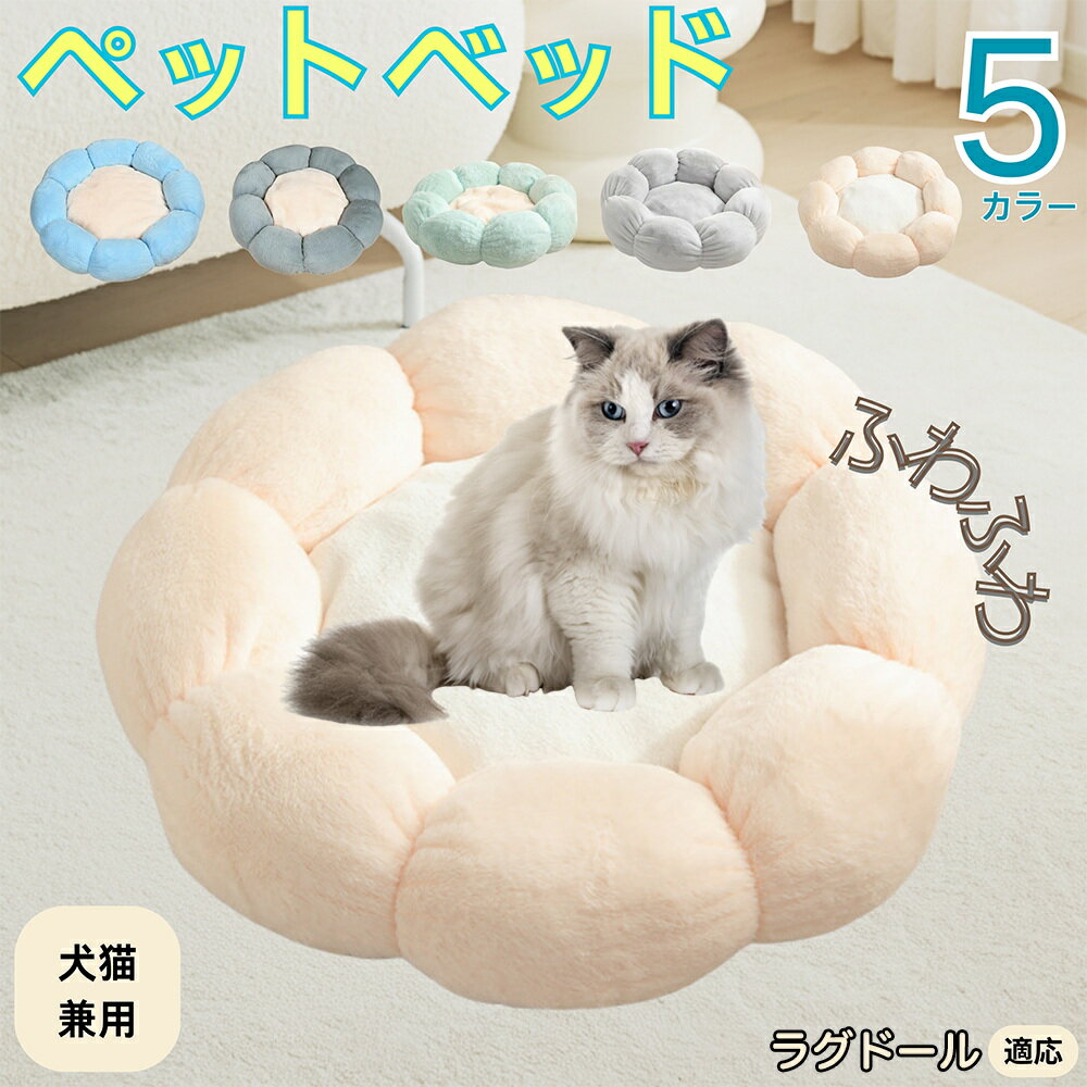 5ܥݥȡۥ饰ɡ ڥåȥ٥å ַ  ǭ   OK դդ ⤳⤳ Ȥ ߤ     Ҹ ¿Ƭ...