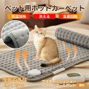 【5倍ポイント】ブリティッシュショートヘア(ゴールデン) ペット用ホットカーペット ホットマット 犬 猫 速暖 温度調節 防水 洗える 低消費電力 滑り止め 冬...